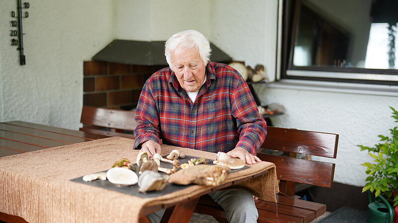 Pilzexperte Hans Krautblatter aus Höchstadt erklärt typische Merkmale wie die Lamellenfarbe eines Speisepilzes. Pilzexperte Hans Krautblatter aus Höchstadt erklärt typische Merkmale wie die Lamellenfarbe eines Speisepilzes.