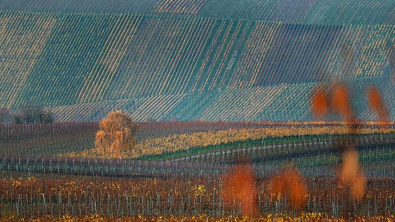 Herbst in Unterfranken Herbst in Unterfranken