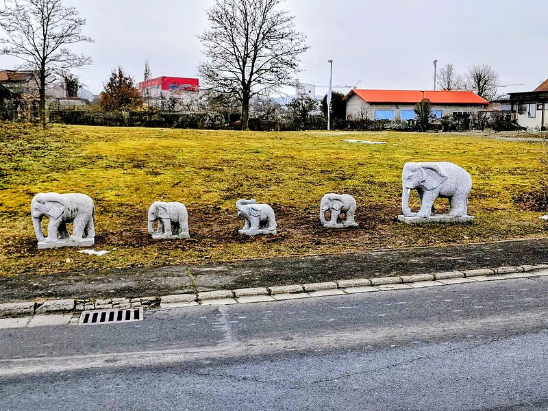 Eine Elefantenfamilie wagt sich auf eine Wanderung durch Hammelburg.