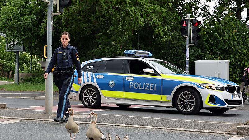 Polizei geleitet G&auml;nsefamilie von vielbefahrener Stra&szlig;e