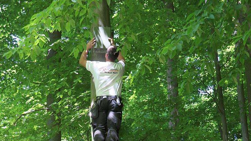 In einer Gemeinschaftsaktion wurden im Wald auf der „Frühlingshöhe“ von angehenden Jägern Nistkästen aufgehängt.