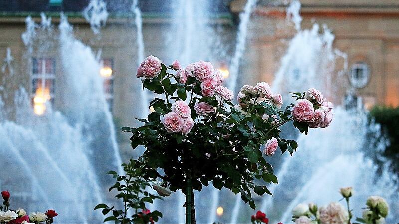 Rosengarten2