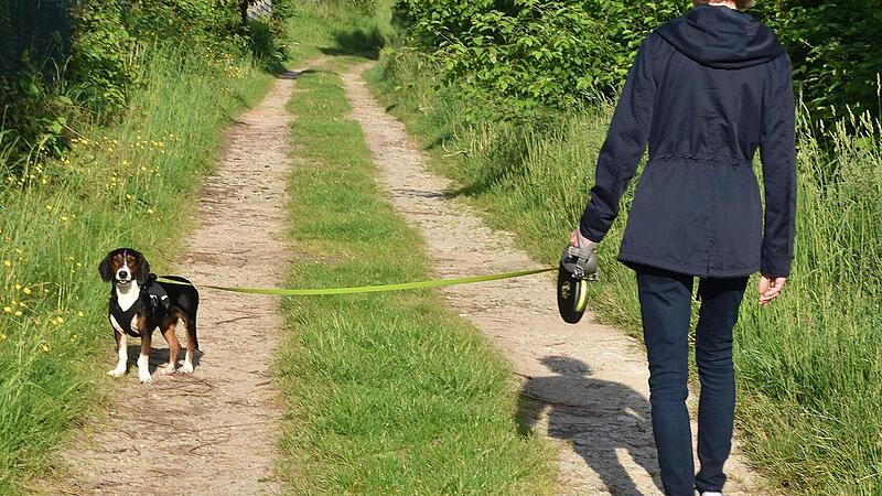 Wenn man ein paar Regeln einh&auml;lt und die Hinterlassenschaften seiner Vierbeiner entsorgt, dann wird das Gassigehen zu einem entspannten Vergn&uuml;gen auch f&uuml;r Frauchen respektive Herrchen. Andere Spazierg&auml;nger haben dann kein &Auml;rgernis. Diese junge Fra...