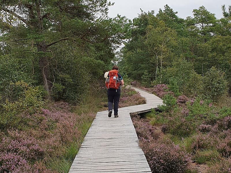 Heidschnuckenweg Teil 42023 Heidschnuckenweg Teil 4