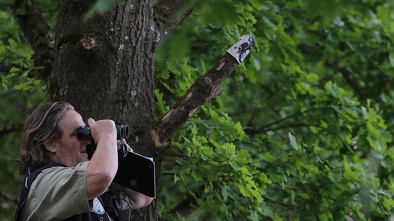 Helmut Schmitt, LBV-Kreisgruppenleiter, h&auml;lt Ausschau nach dem Wendehals.Forchheim & Fr&auml;nkische Schweiz