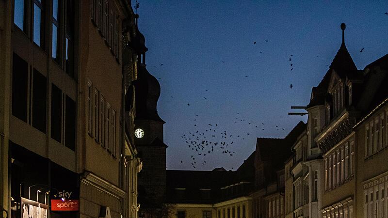 Wenn die D&auml;mmerung naht, kreisen Tag f&uuml;r Tag Kr&auml;hen-Schw&auml;rme &uuml;ber der Altstadt von Coburg, bevor sie sich schlie&szlig;lich  zum Schlaf in B&auml;umen niederlassen.