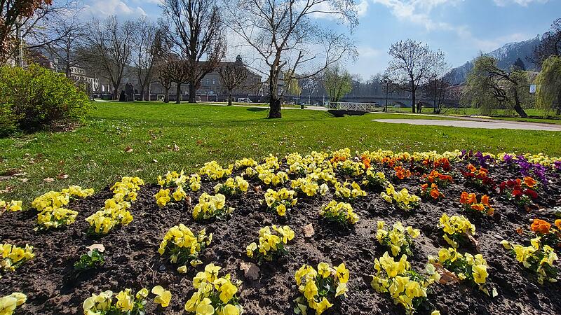 Bad Kissingen blüht auf