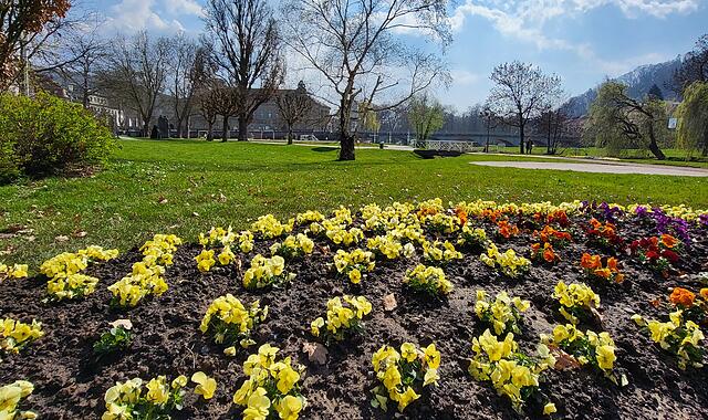Bad Kissingen blüht aufSo blüht Bad Kissingen auf Bad Kissingen blüht auf