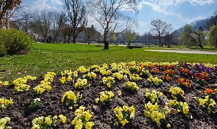 Bad Kissingen blüht aufSo blüht Bad Kissingen auf Bad Kissingen blüht auf