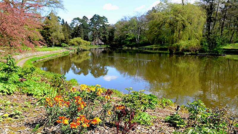 Er ist Bambergs Freizeitoase und gr&uuml;nes Wohnzimmer: Der Hainpark geh&ouml;rt allen und niemandem &ndash; und genau deshalb fehle es an Wertsch&auml;tzung, kritisiert der B&uuml;rgerparkverein. Zeit f&uuml;r einen  Spaziergang.