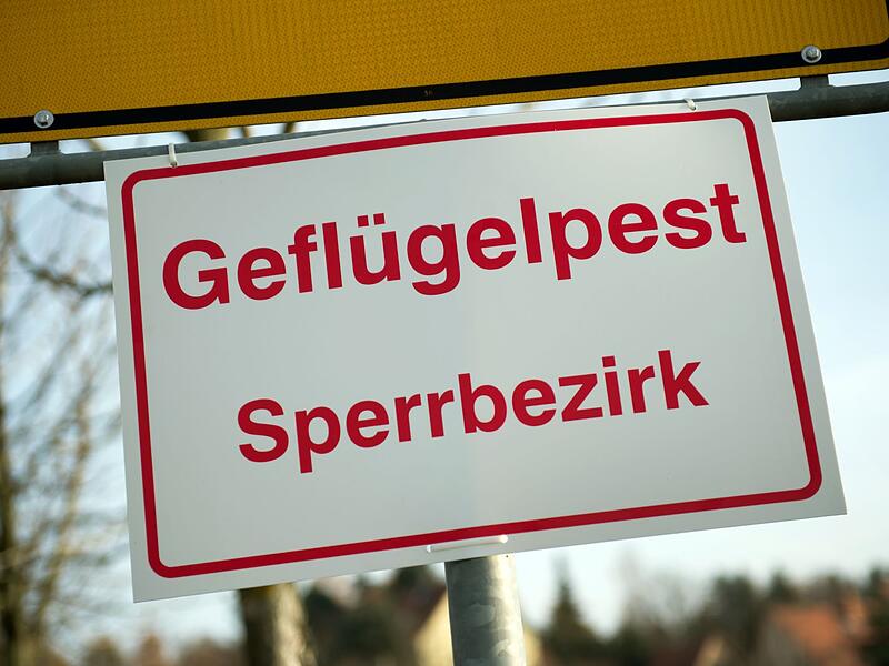 Im Landkreis Forchheim sind zwei aktuelle F&auml;lle von Gefl&uuml;gelpest (HPAI) &ndash; auch Vogelgrippe genannt &ndash; amtlich best&auml;tigt
