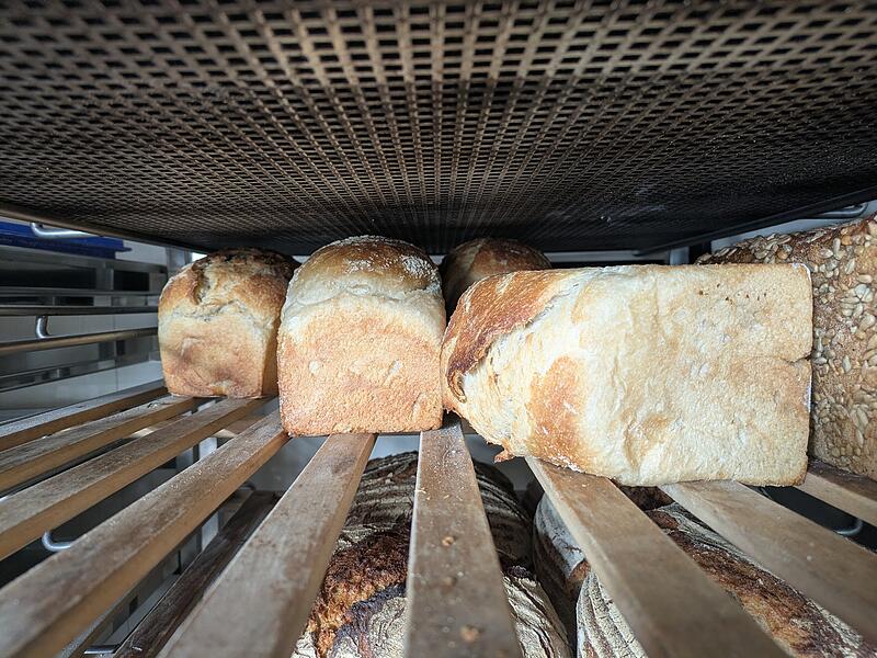 Viking BreadViking Bread Viking BreadViking Bread