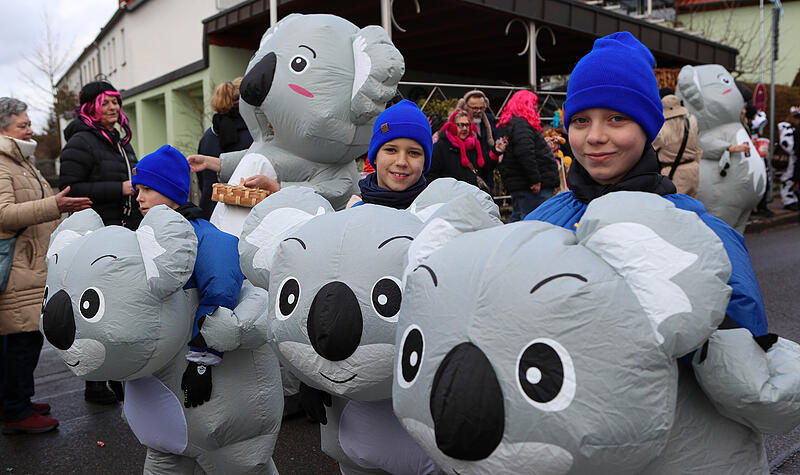 ... und noch mehr Koalas!