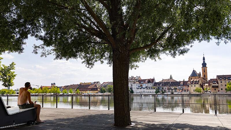 Ein Mann sitzt am Ufer des Mains unter einem Baum im Schatten Ein Mann sitzt am Ufer des Mains unter einem Baum im Schatten