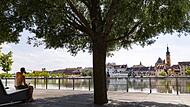 Ein Mann sitzt am Ufer des Mains unter einem Baum im Schatten Ein Mann sitzt am Ufer des Mains unter einem Baum im Schatten