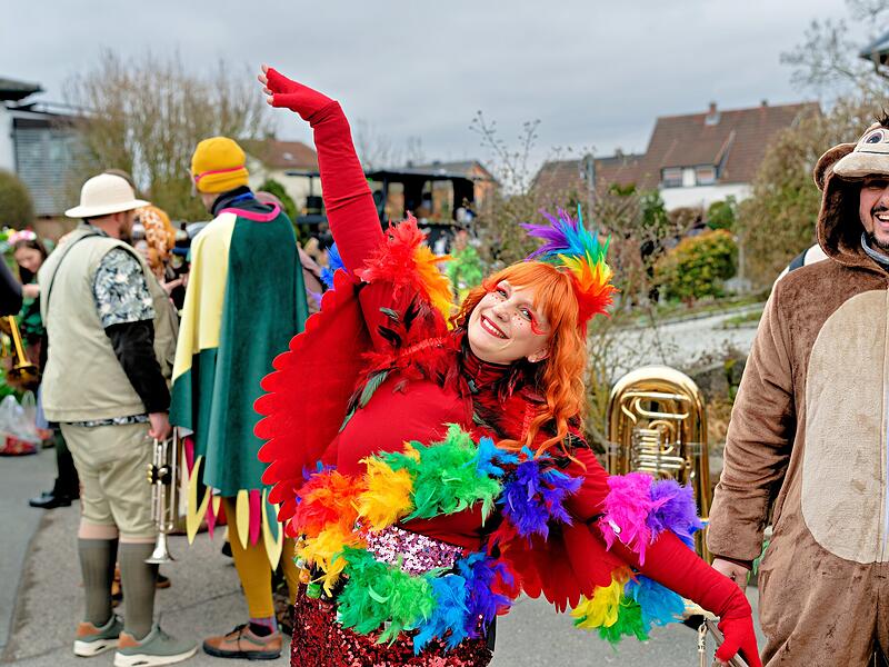 Alle Fotos vom Faschingszug in Oberhaid 2026