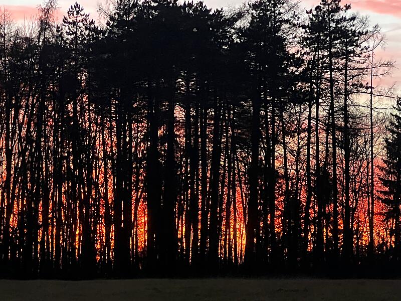 Leserfotos Dezember 2025Leserfotos Dezember 2025