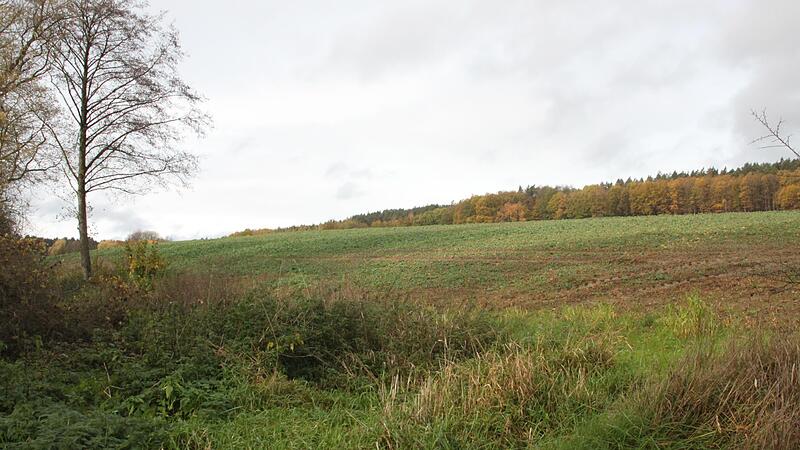Auf diesem Gel&auml;nde bei Burkheim wird ein Solarpark entstehen. Der Gemeinderat gab gr&uuml;nes Licht.