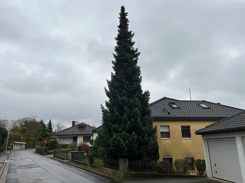 Unterwegs mit dem Coburger Weihnachtsbaum