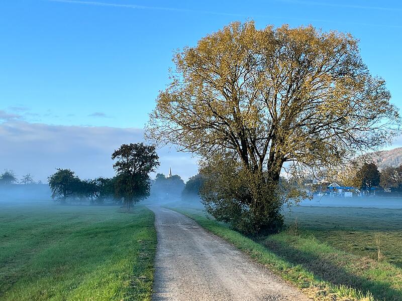 Trotz zunehmender Nebelneigung: Der Oktober zeigt sich im Landkreis Forchheim von seiner schönen Seite.