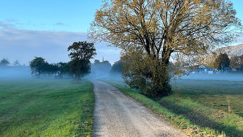 Trotz zunehmender Nebelneigung: Der Oktober zeigt sich im Landkreis Forchheim von seiner sch&ouml;nen Seite.