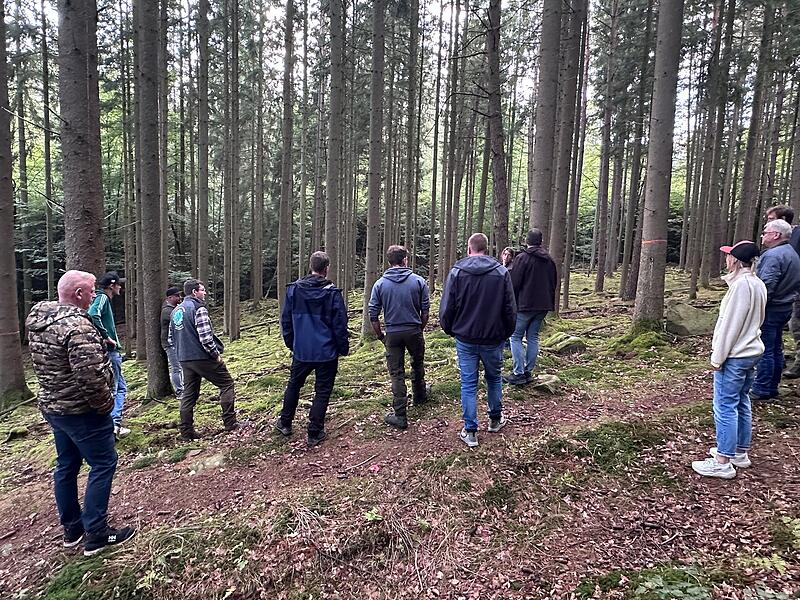 Waldbegang Oberleichtersbach