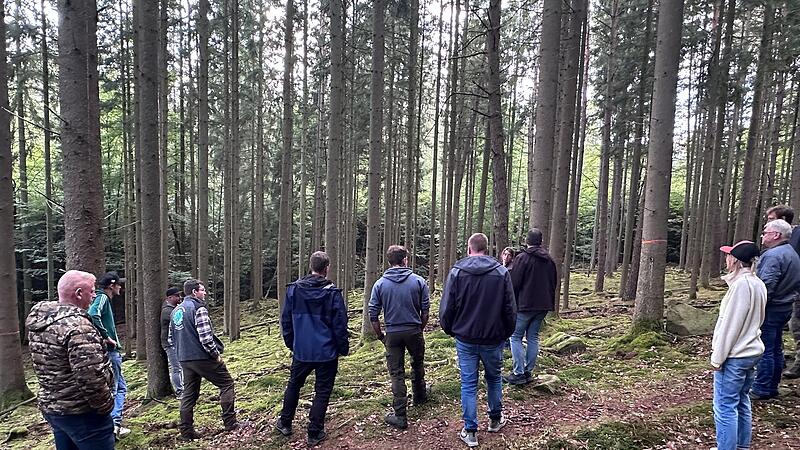 Waldbegang Oberleichtersbach