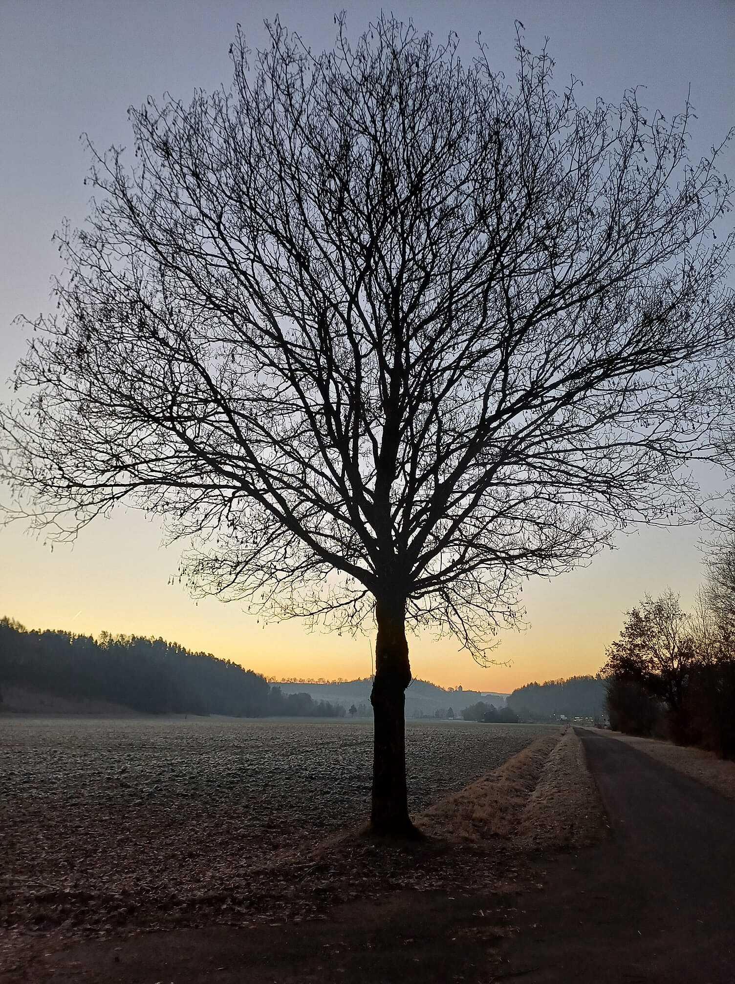 Foto-Aktion: Die Leser des Fränkischen Tags zeigen die schönsten Seiten ...