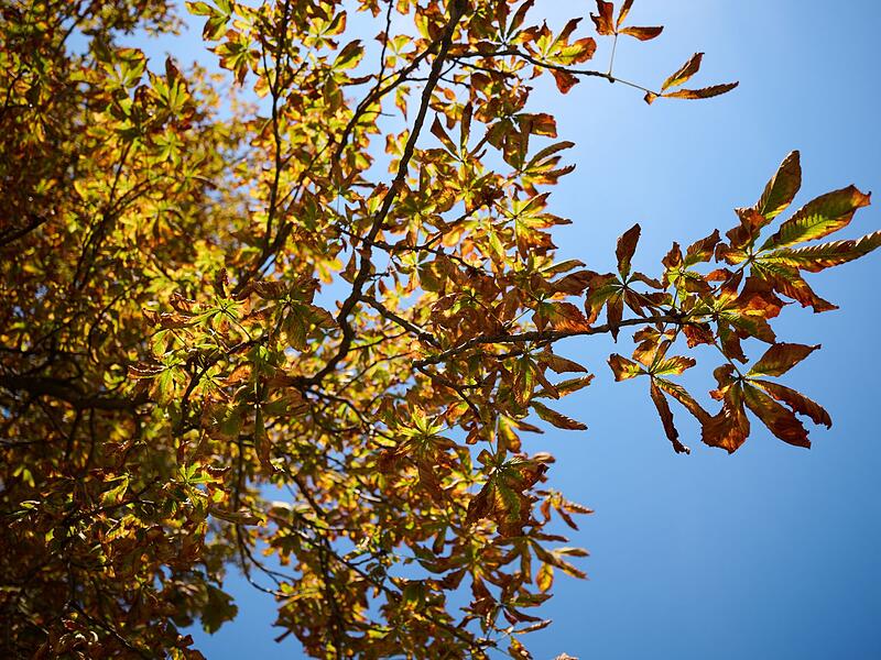 Herbst in Bayern