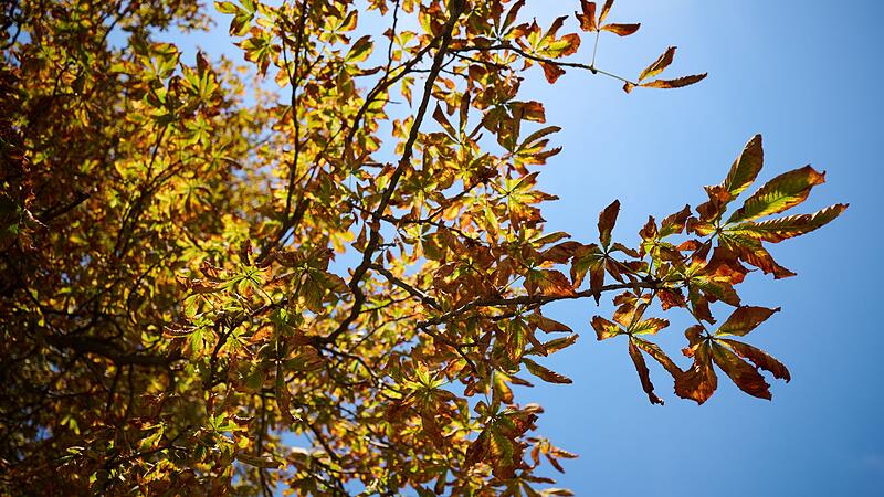 Herbst in Bayern