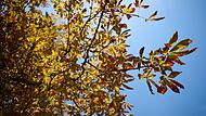 Herbst in Bayern