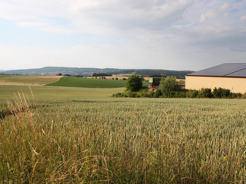 In einer Senke neben seiner Biogasanlage (rechts) m&ouml;chte Jochen Leikeim einen Legehennenstall errichten. Der Bauausschuss lehnte das Vorhaben ab, weil die Pl&auml;ne keine Wasserversorgung und keine Wasserentsorgung vorsehen.