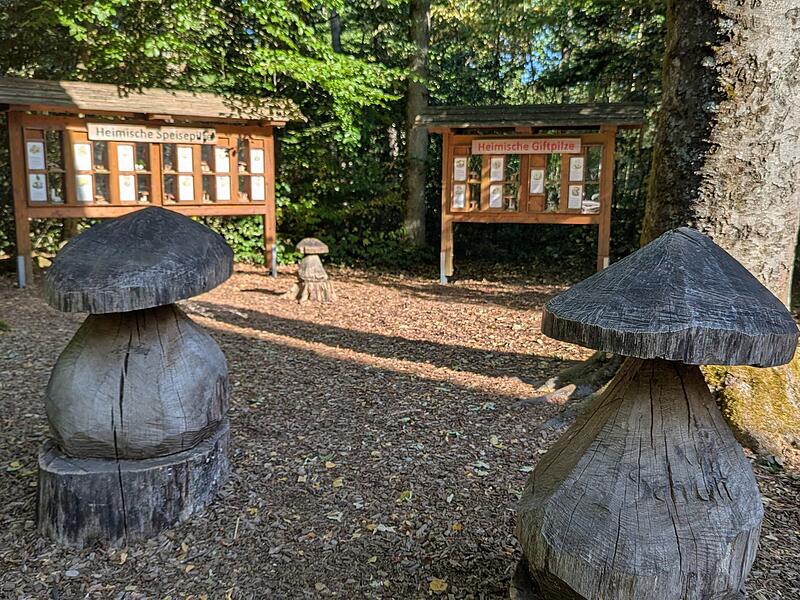 Naturlehrpfad RehbergNaturlehrpfad Rehberg