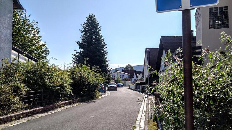 Blick in die Dr.-Hermann-Ehlers-Stra&szlig;e in Neustadt.