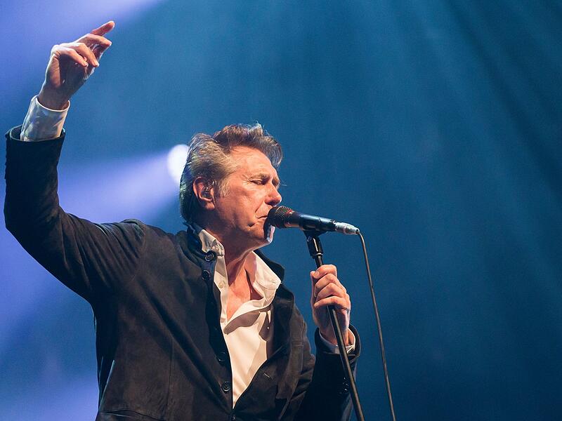 Popikone Bryan Ferry