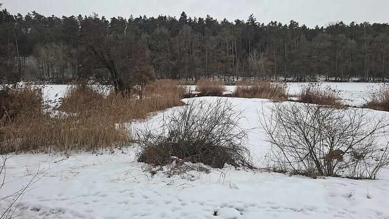 Artikel Flussw&auml;rmepumpe