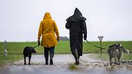 Herbstwetter - Mantelwetter