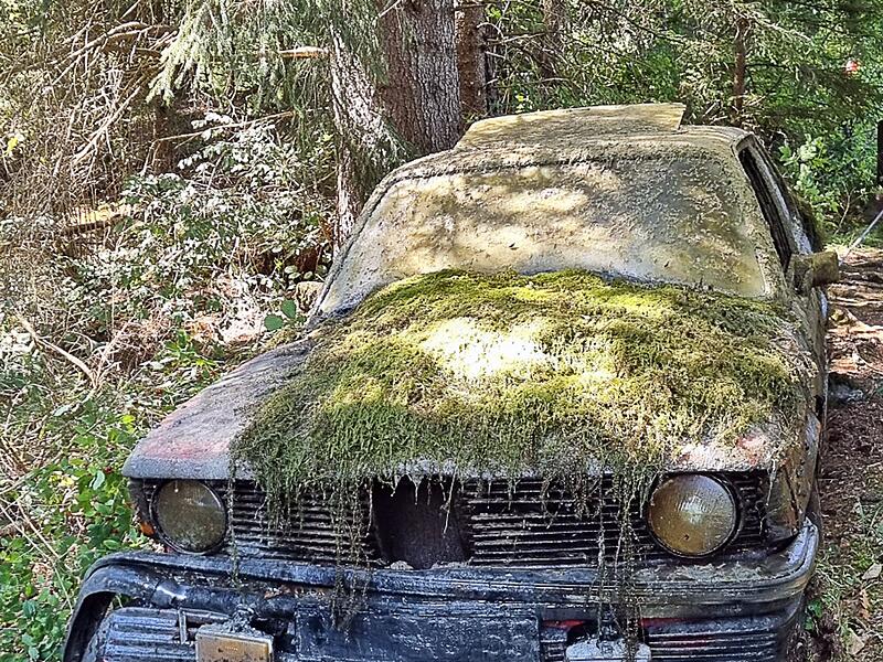Rätsel um vor Jahrzehnten versenktes Auto aus dem Lech Rätsel um vor Jahrzehnten versenktes Auto aus dem Lech