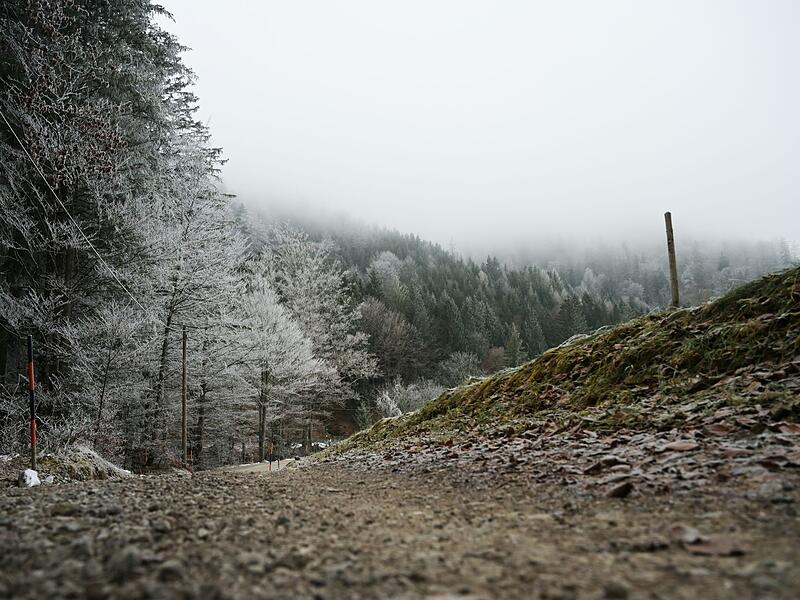 Winterwetter in Bayern
