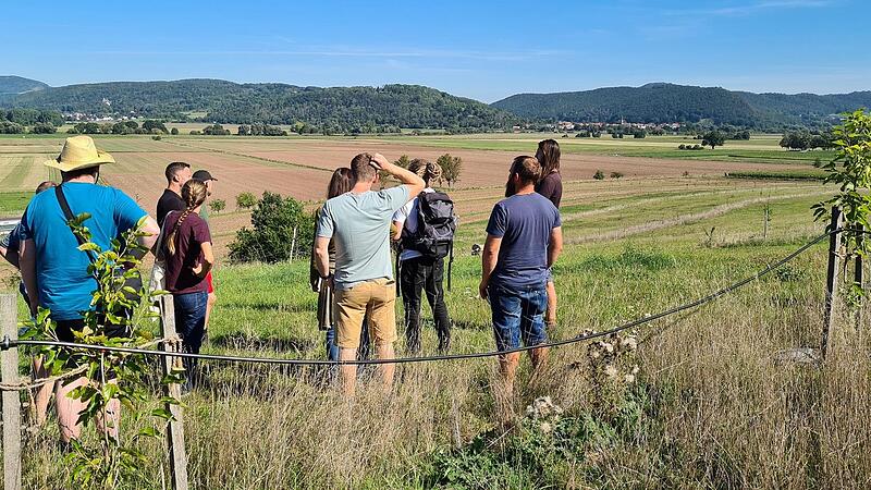 Frisch gepflanztes Agroforstsystem mit Tröpfchenbewässerung vor ausgeräumter Landschaft