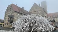 Die Burg Feuerstein im winterlichen Hochnebel.Forchheim & Fränkische Schweiz Die Burg Feuerstein im winterlichen Hochnebel.Forchheim & Fränkische Schweiz