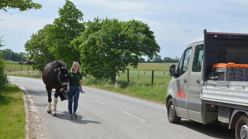 Cindy D&ouml;tschel geht mit ihrem Wallach Mc Cloud nach Feierabend regelm&auml;&szlig;ig in Zedersdorf spazieren.