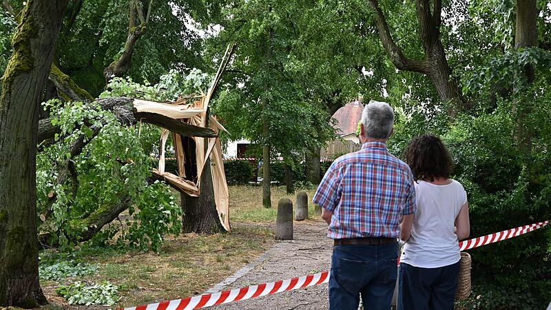 Die Stadt war am Mittwoch mit dem Aufräumen unter anderem am Laurenziplatz beschäftigt: 41 Bäume wurden in Bamberg vom Sturm zerbrochen oder schwer beschädigt.