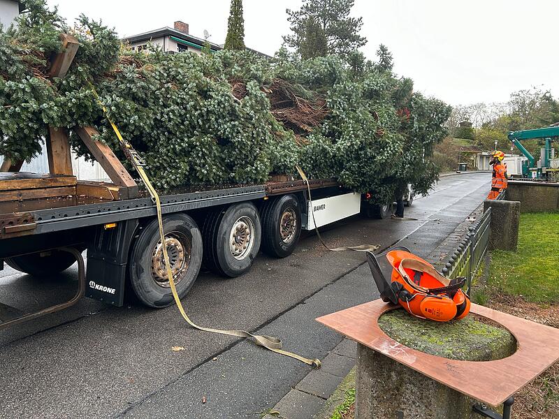 Unterwegs mit dem Coburger Weihnachtsbaum