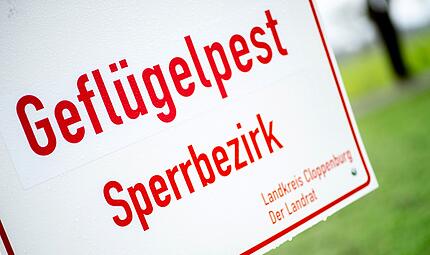 Geflügelpest Geflügelpest