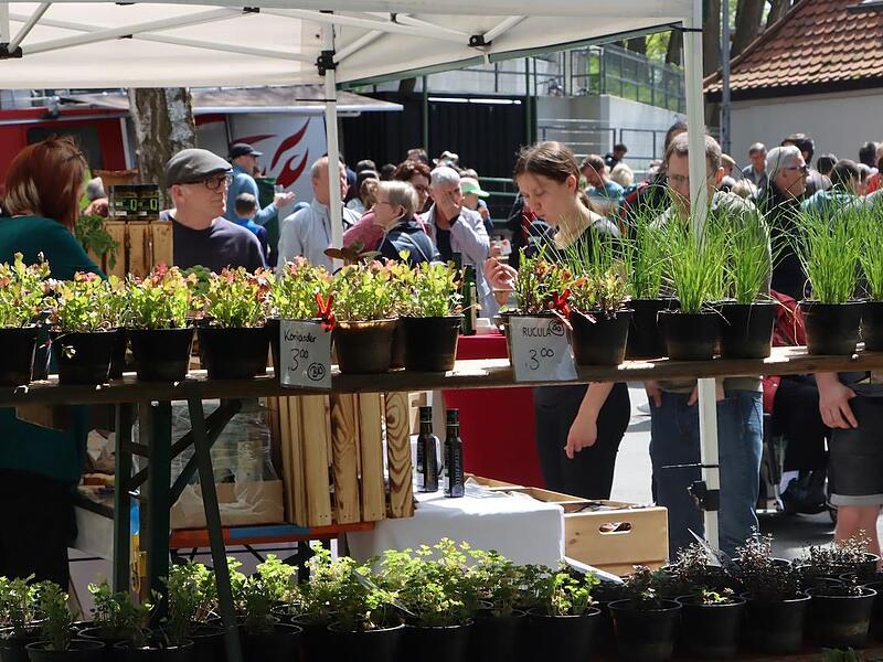 Das 21. Ökofest in Herzogenaurach war ein Publikumsmagnet.