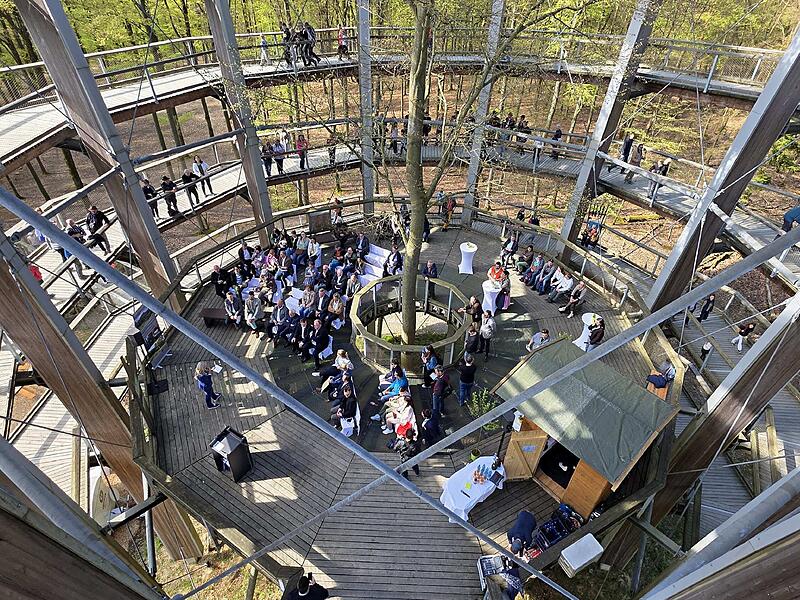 Baumwipfelpfad SteigerwaldBaumwipfelpfad Steigerwald