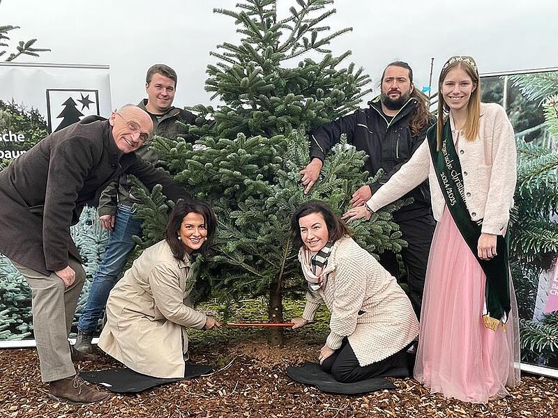 Bei der Eröffnung der Bayerischen Christbaumsaison in Rudendorf sägen die beiden Ministerinnen Michaela Kaniber (vorne, von links) und Dorothee Bär eine Nordmanntanne ab. Unser Bild zeigt außerdem (von links) Landrat Wilhelm Schneider, Vorsitzende...