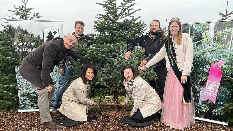 Bei der Eröffnung der Bayerischen Christbaumsaison in Rudendorf sägen die beiden Ministerinnen Michaela Kaniber (vorne, von links) und Dorothee Bär eine Nordmanntanne ab. Unser Bild zeigt außerdem (von links) Landrat Wilhelm Schneider, Vorsitzende...