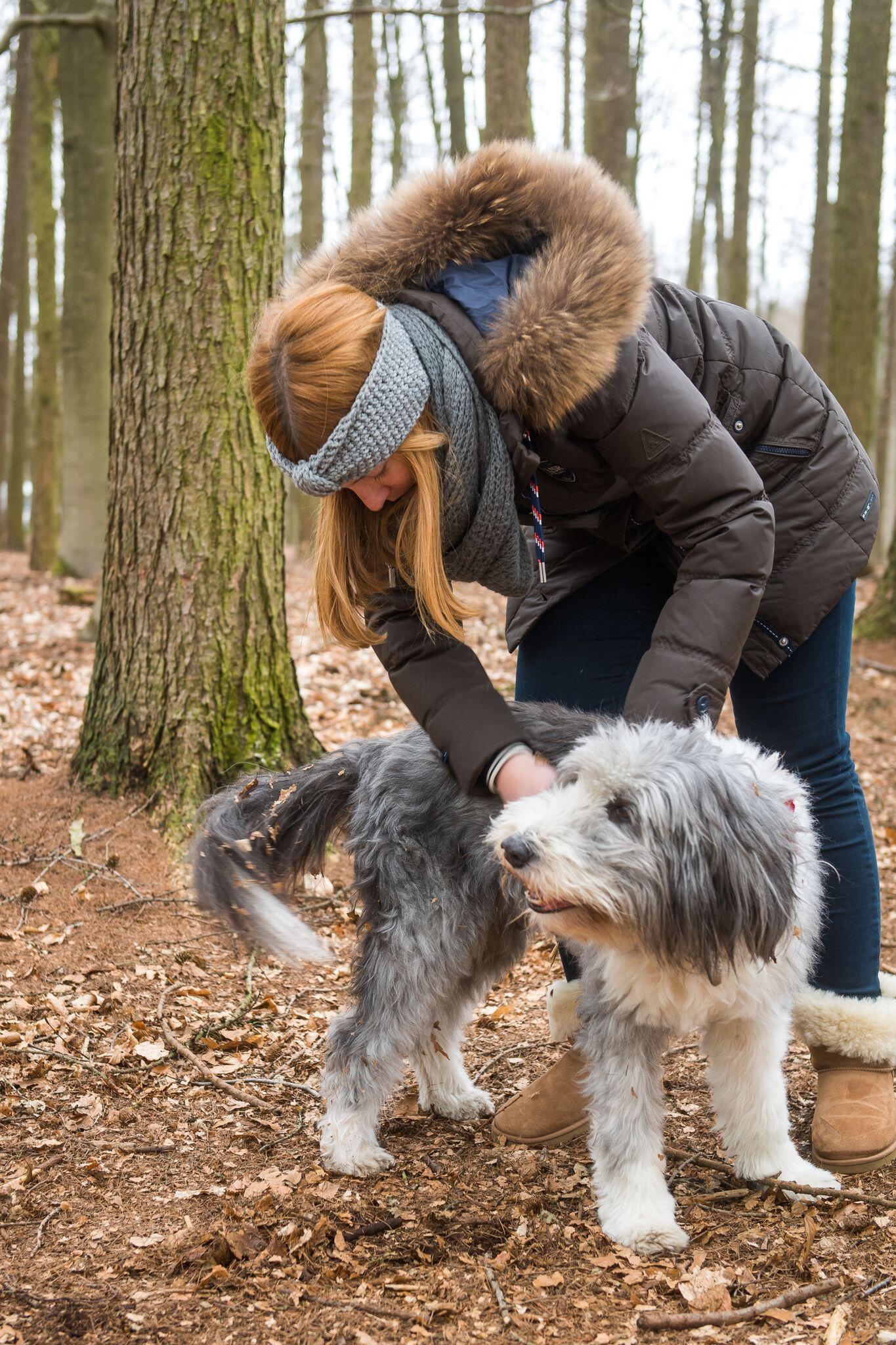 So streichelt man einen Hund richtig
